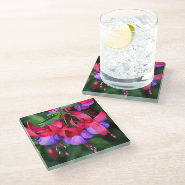 Purple Fuchsia with Pink Sepals Floral Glass Coaster (Angled)