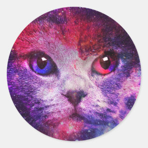 Purple Galaxy Cat Classic Round Sticker