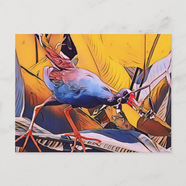 Purple Gallinule Postcard (Front)