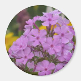 Purple Garden Phlox 3" Round Magnet
