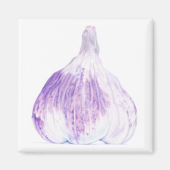 Purple Garlic Magnet (Front)