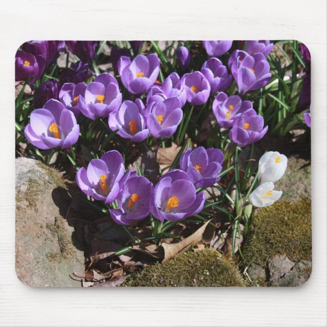Purple Gems Mouse Pad (Front)