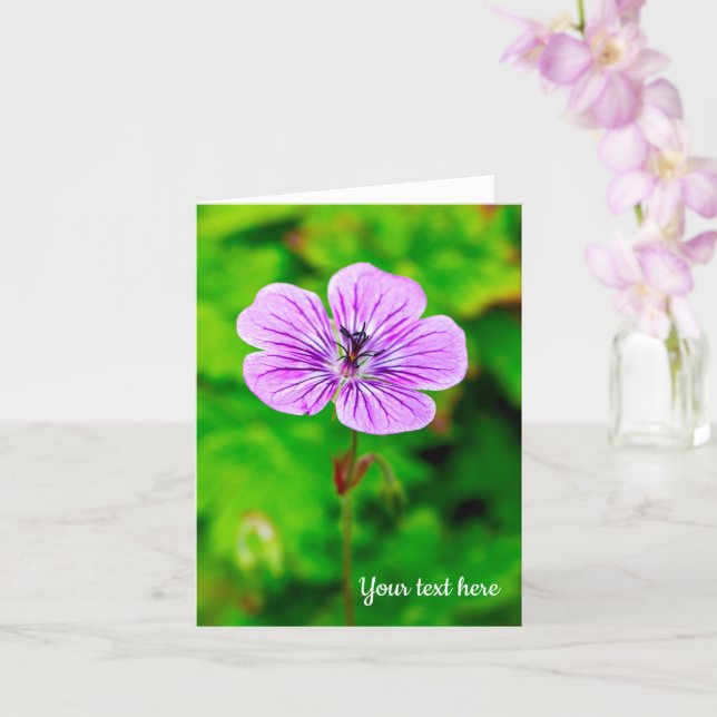 Purple Geranium Greeting Card (Orchid)