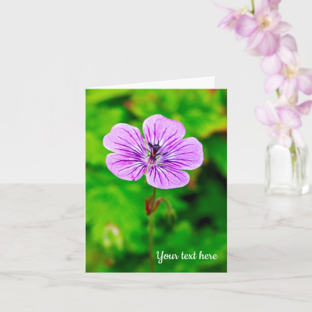 Purple Geranium Greeting Card (Orchid)