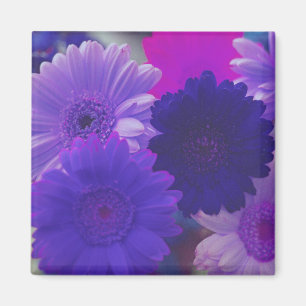 Purple Gerbera Daisy Flowers Refrigerator Magnets