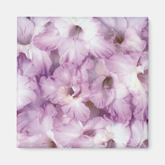 Purple Glads All Occasion Magnet (Front)