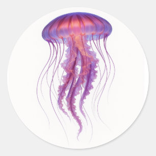 Purple Glow Jellyfish Classic Round Sticker
