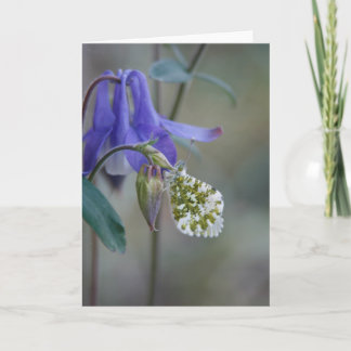 Purple Granny's bonnet/Columbine Greeting Card