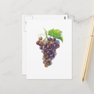 Purple Grape Bunch Botanical Watercolor Postcard