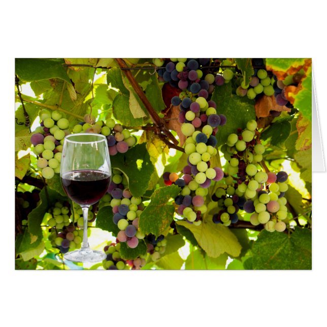 Purple Grapes Growing on the Vine with Wineglass (Front Horizontal)