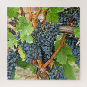 Purple grapes jigsaw puzzle