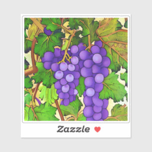 Purple Grapes on a Grapevine