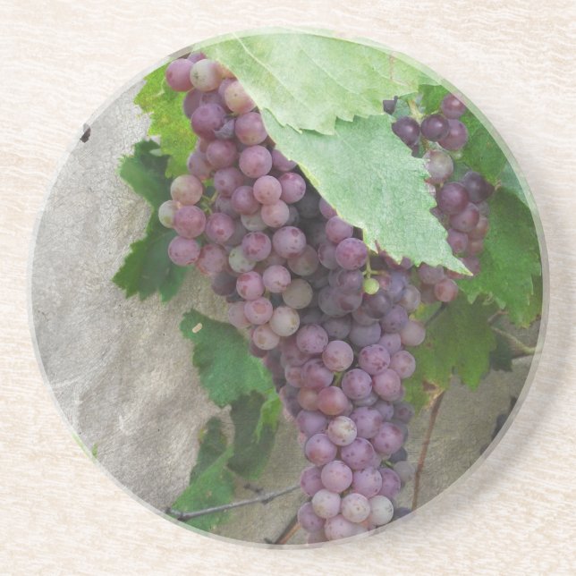 Purple Grapes on the Vine Coaster (Front)