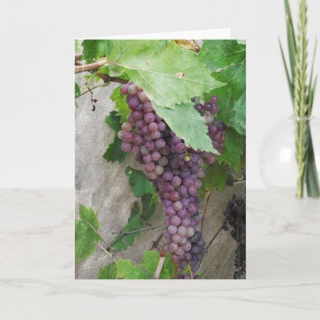 Purple Grapes On the Vine Greeting Card (Front)