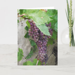 Purple Grapes On the Vine Greeting Card