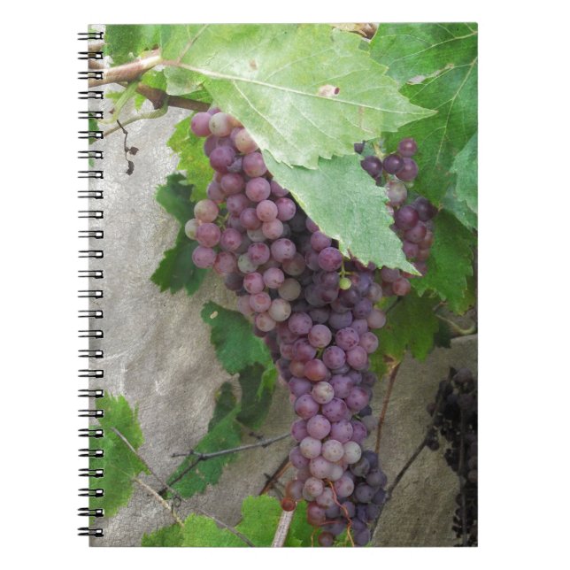 Purple Grapes on the Vine Notebook (Front)