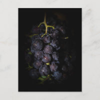 Purple Grapes Postcard