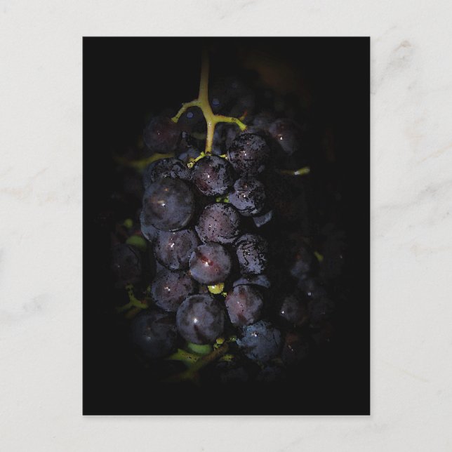 Purple Grapes Postcard (Front)