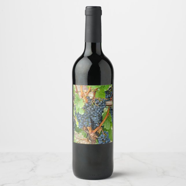 Purple grapes wine label (Front)