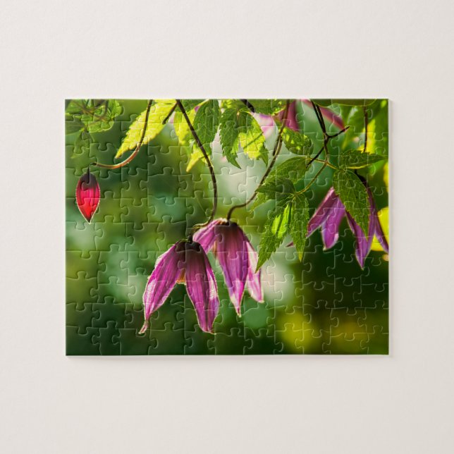 Purple green lush plants flowers greenery jigsaw puzzle (Horizontal)