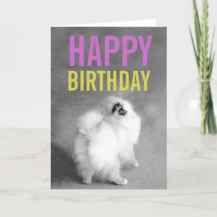 Purple & Green Pomeranian Happy Birthday Card