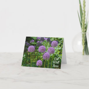 Purple Group of Allium Flowers Get Well Soon Thank You Card