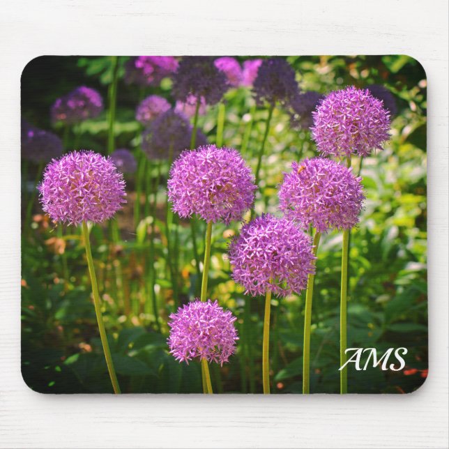Purple Group of Allium Flowers Monogram Mouse Pad (Front)
