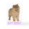 Purple Happy Birthday Chow Chow Brown Puppy Dog
