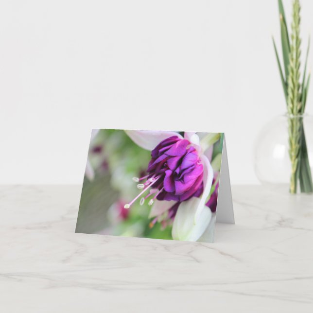 Purple Hardly Fuchsia  Holiday Card (Front)