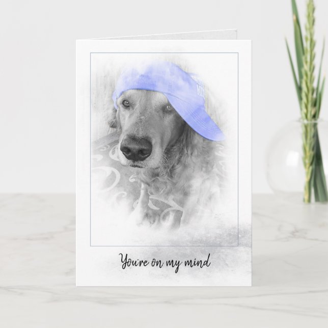 purple hat on Golden Retriever in grey frame Card (Front)