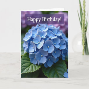 Purple Haze Birthday Card