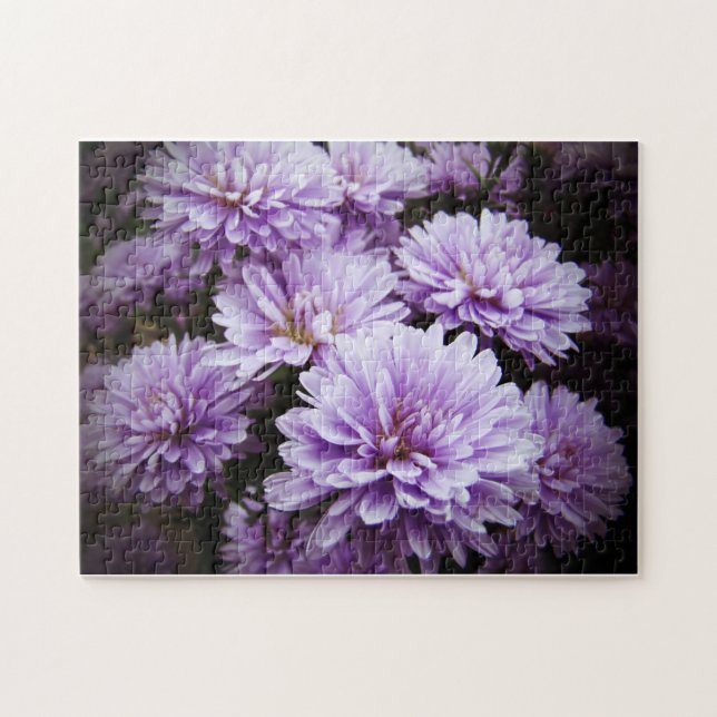 Purple Haze Chrysanthemums Jigsaw Puzzle (Horizontal)
