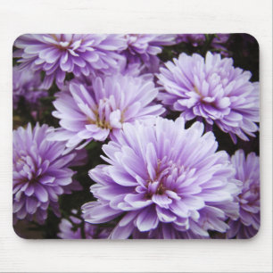 Purple Haze Chrysanthemums Mouse Pad