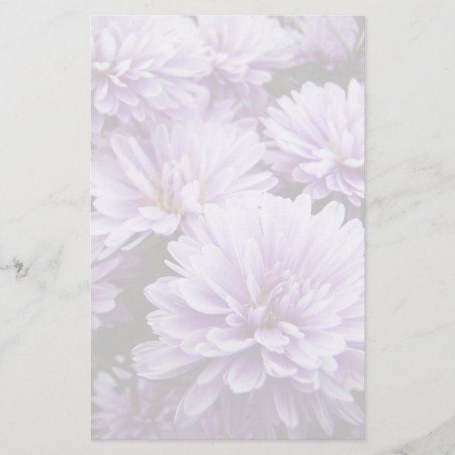 Purple Haze Chrysanthemums Stationery (Front)
