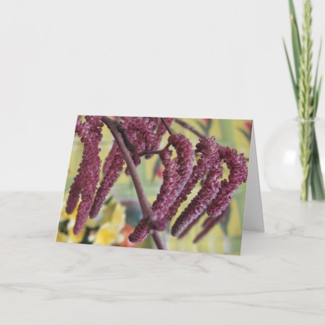 Purple Hazelnut in Spring Holiday Card (Front)