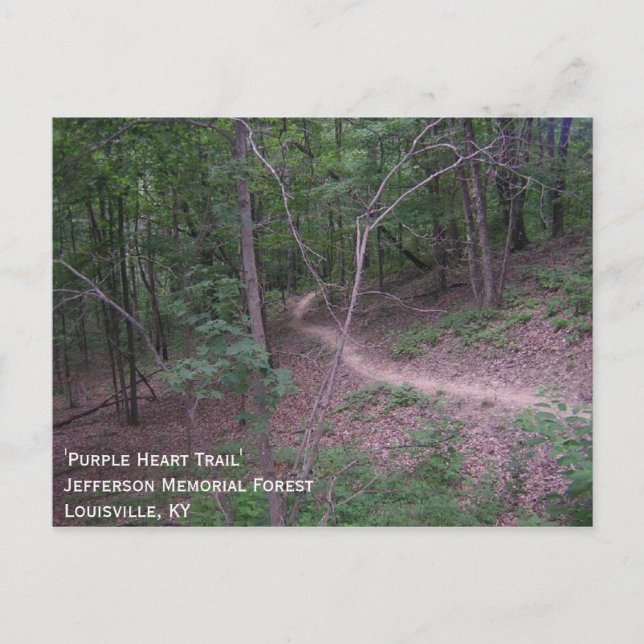'Purple Heart Trail' Postcard (Front)