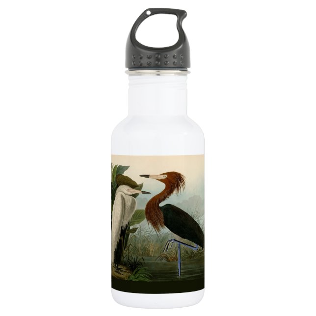 Purple Heron Audubon Bird Wildlife Painting 532 Ml Water Bottle (Front)