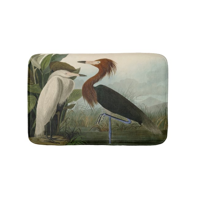 Purple Heron Audubon Bird Wildlife Painting Bath Mat (Front)