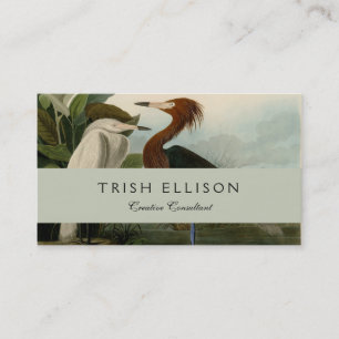 Purple Heron Audubon Bird Wildlife Painting Business Card