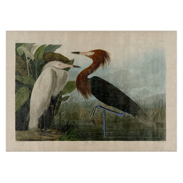 Purple Heron Audubon Bird Wildlife Painting Cutting Board (Front)
