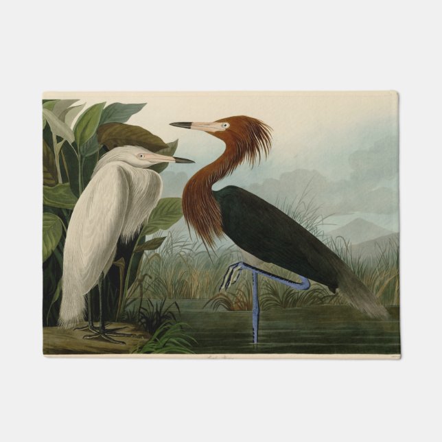 Purple Heron Audubon Bird Wildlife Painting Doormat (Front)