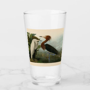 Purple Heron Audubon Bird Wildlife Painting Glass