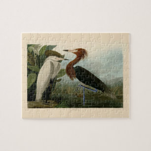 Purple Heron Audubon Bird Wildlife Painting Jigsaw Puzzle
