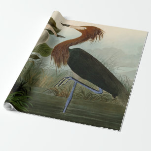 Purple Heron Audubon Bird Wildlife Painting Wrapping Paper