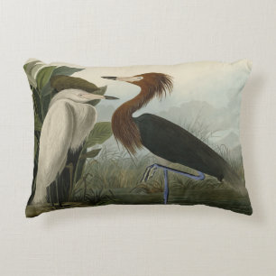 Purple Heron - from Audubon's Birds of America Decorative Cushion