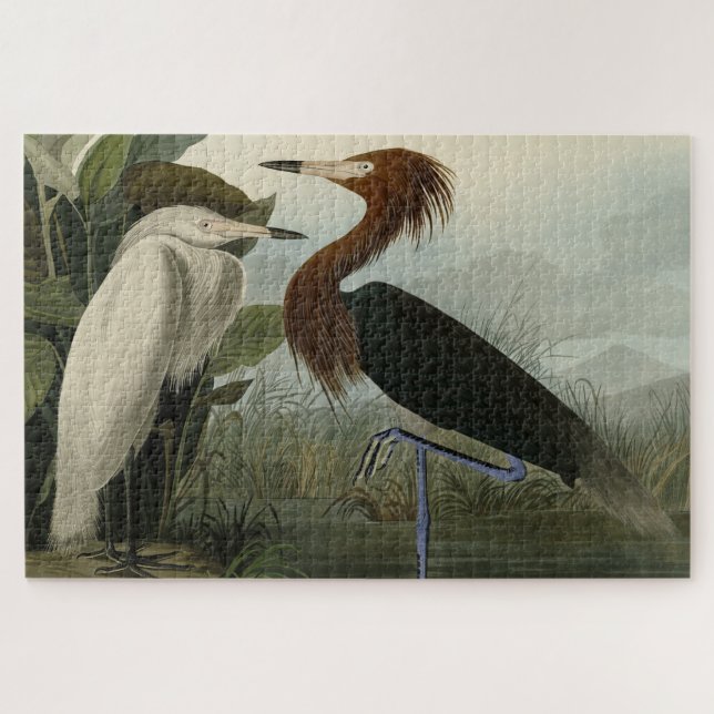 Purple Heron - from Audubon's Birds of America Jigsaw Puzzle (Horizontal)