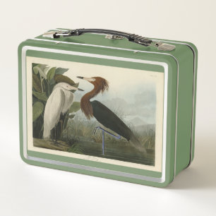 Purple Heron - from Audubon's Birds of America Metal Lunch Box