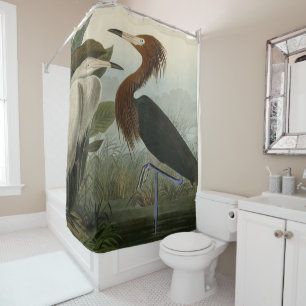 Purple Heron - from Audubon's Birds of America Sho Shower Curtain