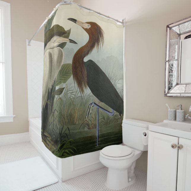 Purple Heron - from Audubon's Birds of America Sho Shower Curtain (In Situ)