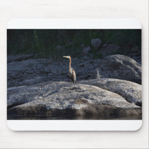 Purple Heron On The Nile River At Aswan..JPG Mouse Pad